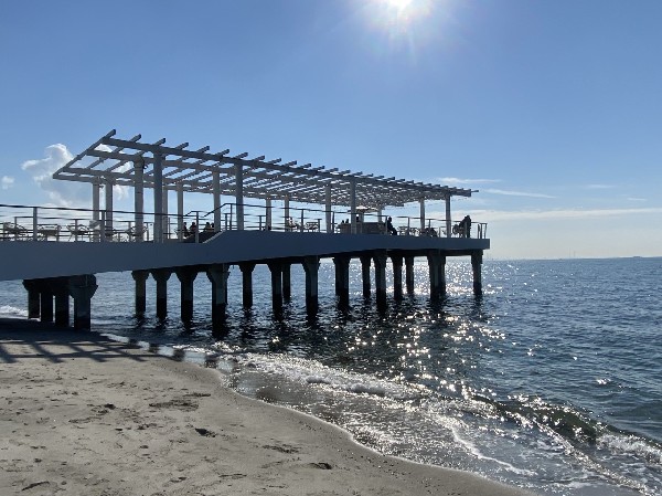 周辺環境:稲毛海浜公園(沿岸部にある 83 ヘクタールの公園。野外音楽堂、バーベキュー施設、プール、ジム、サイクリング コースがあります。)