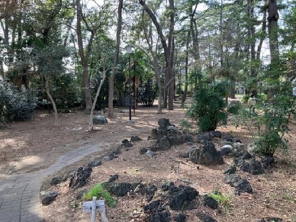 周辺環境:8号宮前緑地　市川市平田にある小規模な緑地。住宅街の中に位置し、地域の身近な緑として日々の散歩や休憩に利用される空間。