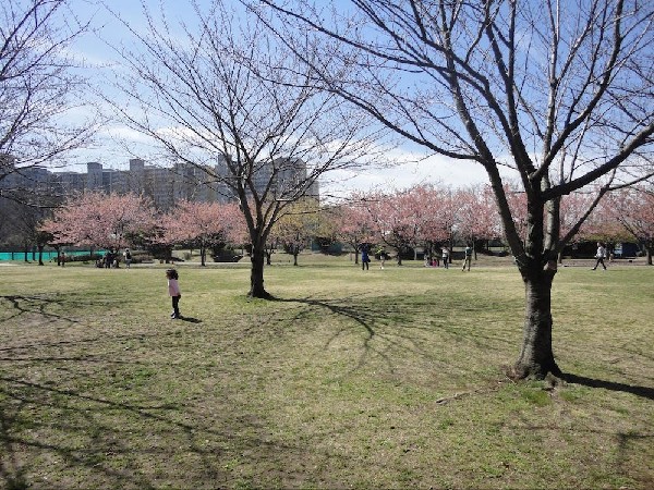周辺環境:高州中央公園