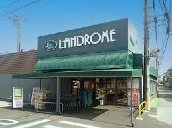 周辺環境:ランドロームフードマーケット三咲店