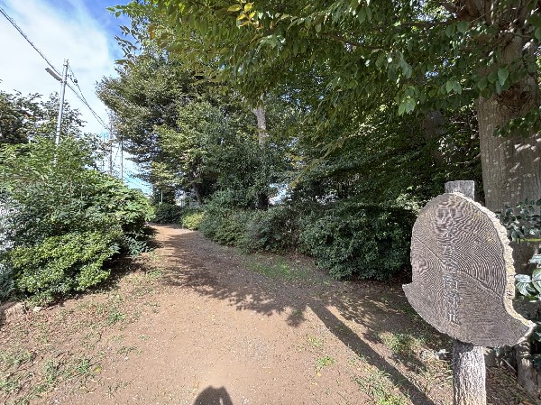 周辺環境:八木が谷南緑地