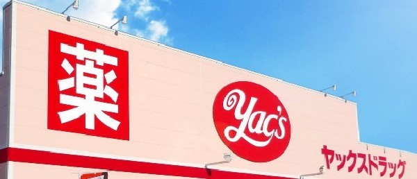 周辺環境:ヤックスドラック新検見川店