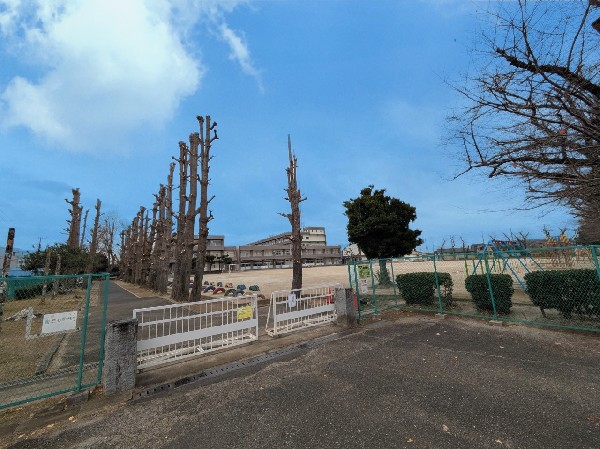 周辺環境:船橋市立三山小学校(活気ある声と穏やかな静寂が、心地よく共存している学校)