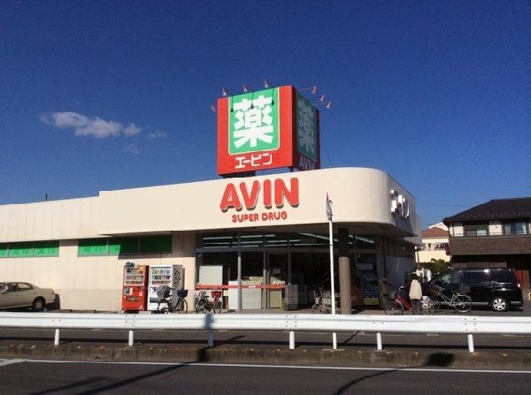 周辺環境:エービン実籾店