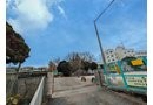 周辺環境:船橋市立田喜野井小学校