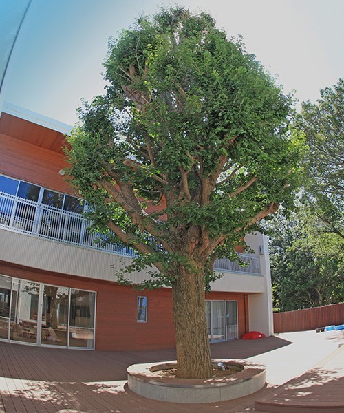 周辺環境:めぐみ保育園(信頼を基盤とした保育により、お子様の健やかな育ちを促す園)