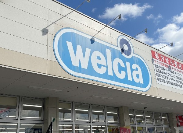 周辺環境:ウェルシア市川堀之内店 (風邪薬もティッシュも、ついでにお菓子も。ウェルシアが近くにあると、「あれもこれも」の悩みがサクッと解決です。)