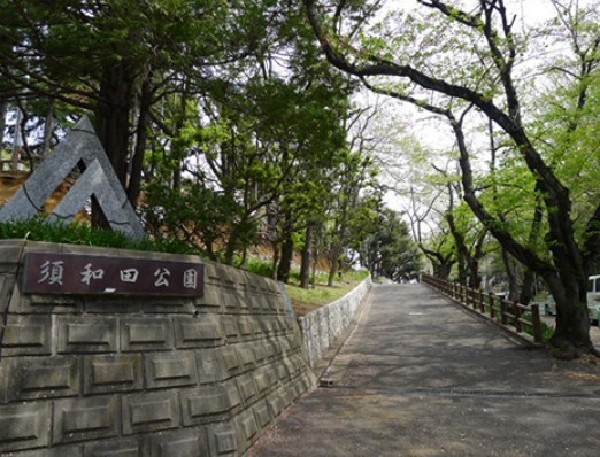 周辺環境:須和田公園