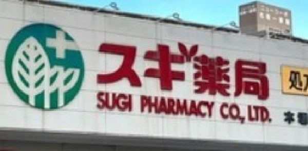 周辺環境:スギ薬局船橋藤原店