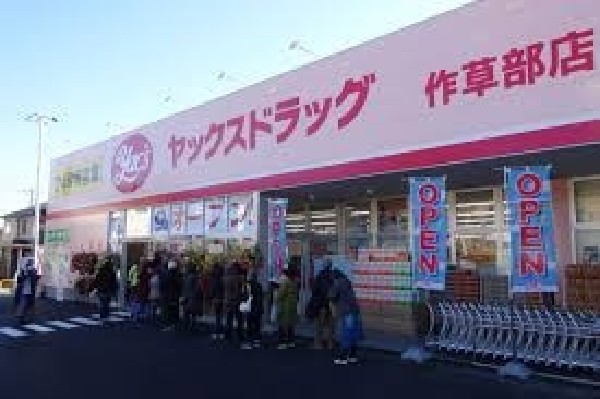 周辺環境:ヤックスドラッグ作草部店
