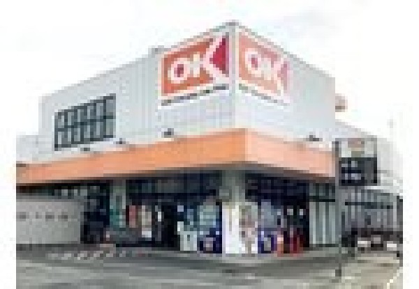 周辺環境:オーケー浦安店