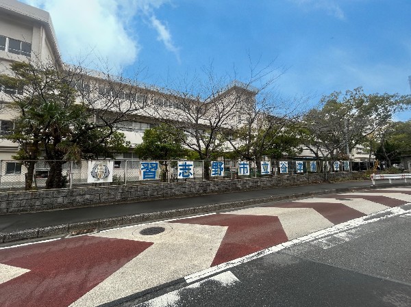 周辺環境:谷津南小学校　(先生と生徒の距離が近く、何でも相談できる雰囲気の学校)