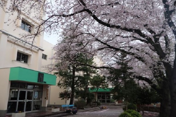 周辺環境:千葉市立緑町中学校