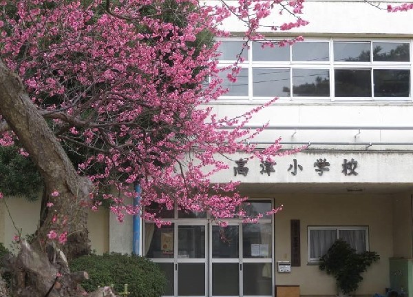 周辺環境:八千代市立高津小学校