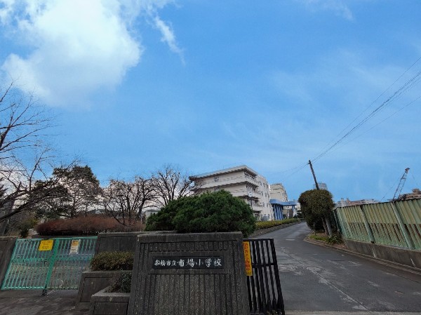 周辺環境:船橋市立市場小学校　(四季の行事を大切にし、情緒豊かな心を育てる学校)