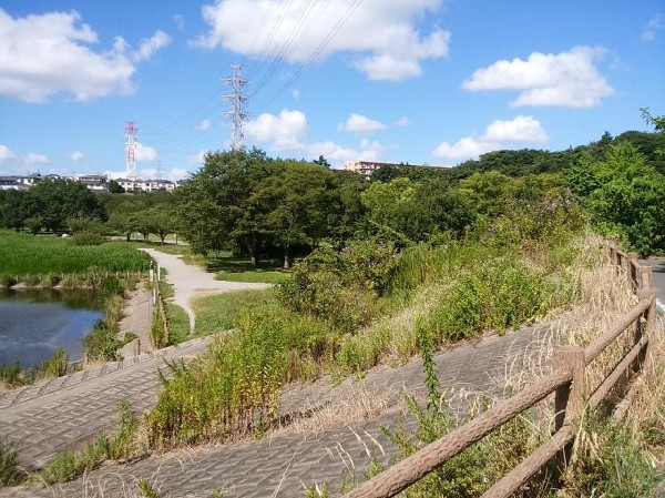 周辺環境:長津川緑地