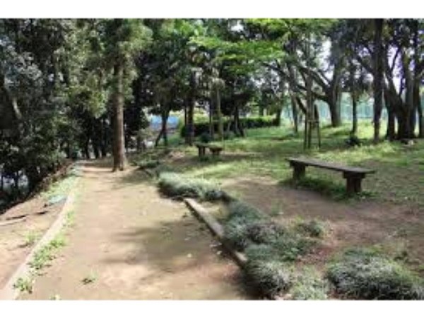 周辺環境:中野木緑地(住宅街にひっそりと佇み、豊かな樹木に囲まれながら静かな時間を過ごせる船橋市の緑地。)